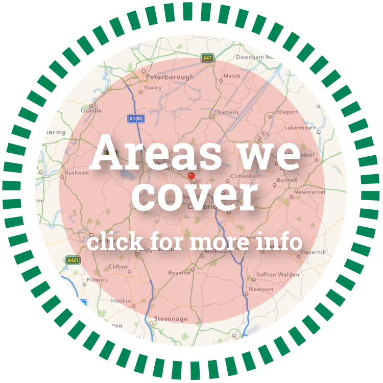 Professional Tree Surgery and Services