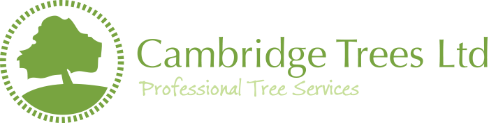 Professional Tree Services